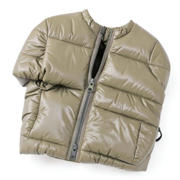 Amygreen Dino Boys Down Jacket-2